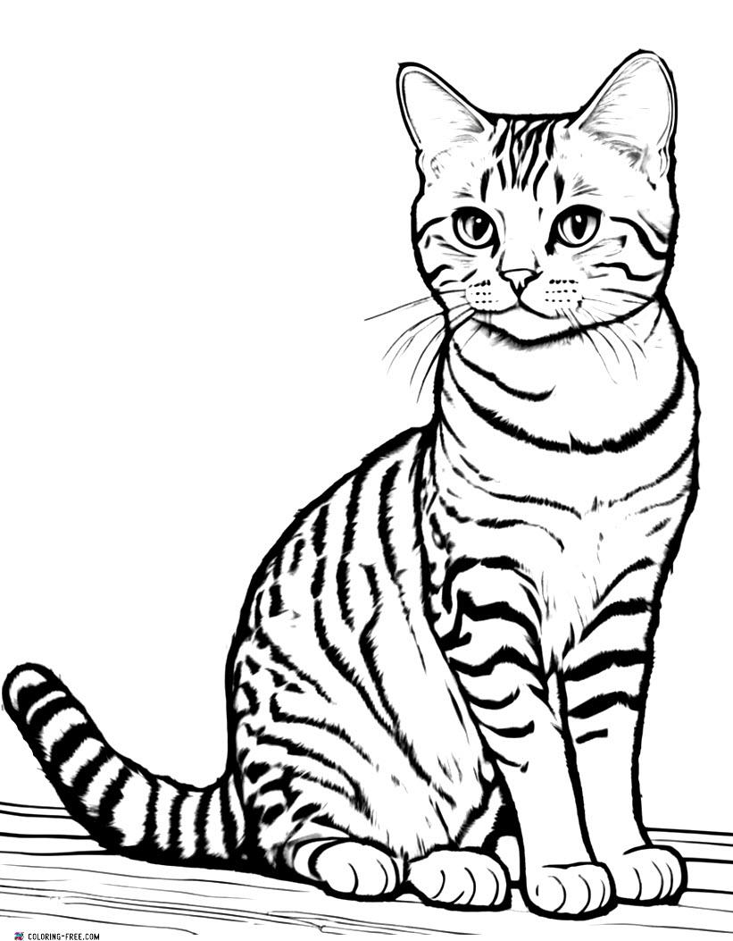 Cat Coloring Pages (Free Printables)