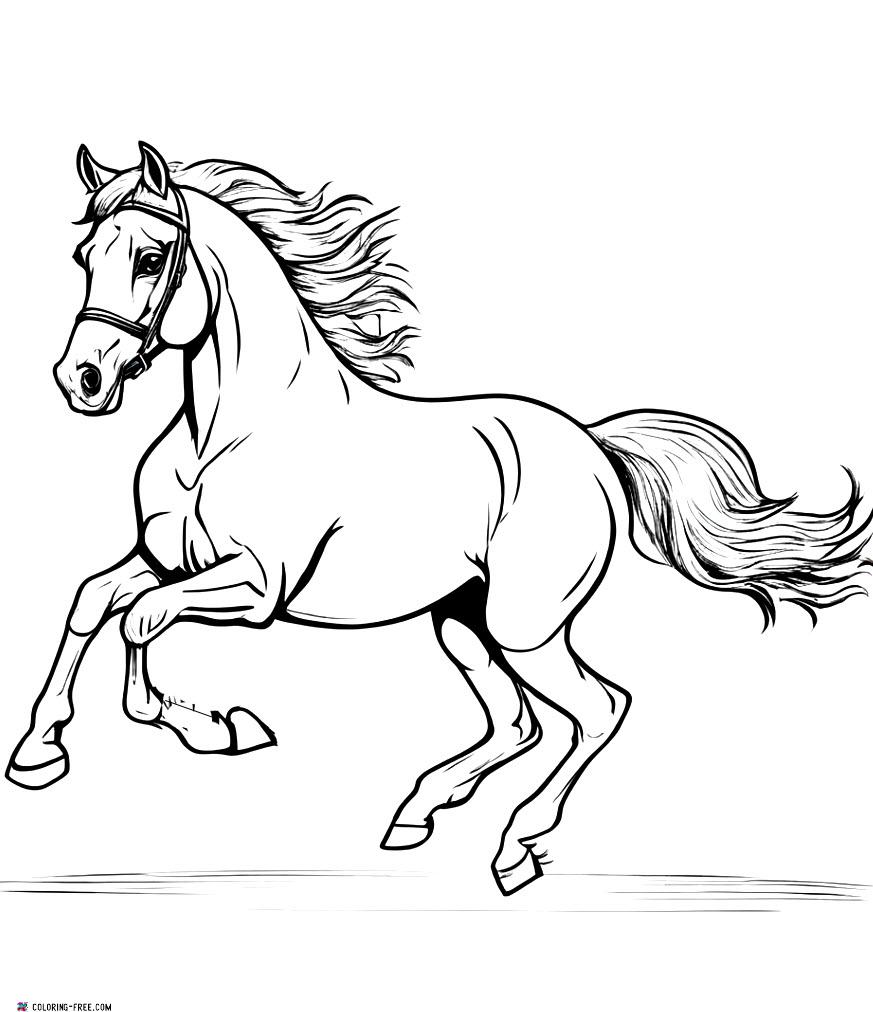 Horse Coloring Pages (Free Printables)