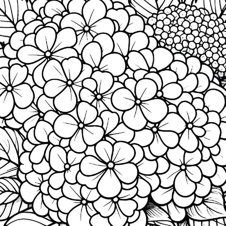Hydrangeas Flowers Coloring Pages