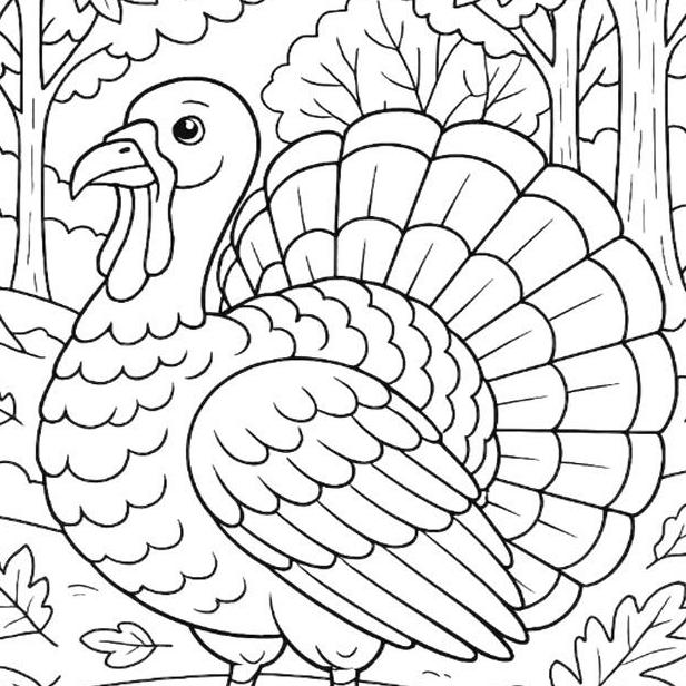Turkey Coloring Pages